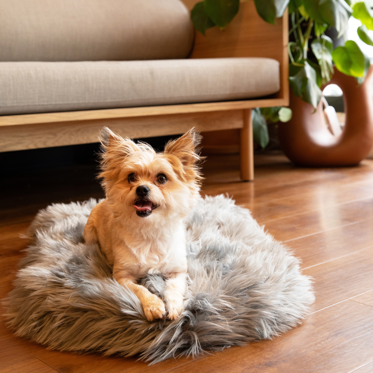 PupRug by Paw.com® Faux Fur Orthopedic Dog Bed - Curve Charcoal Grey