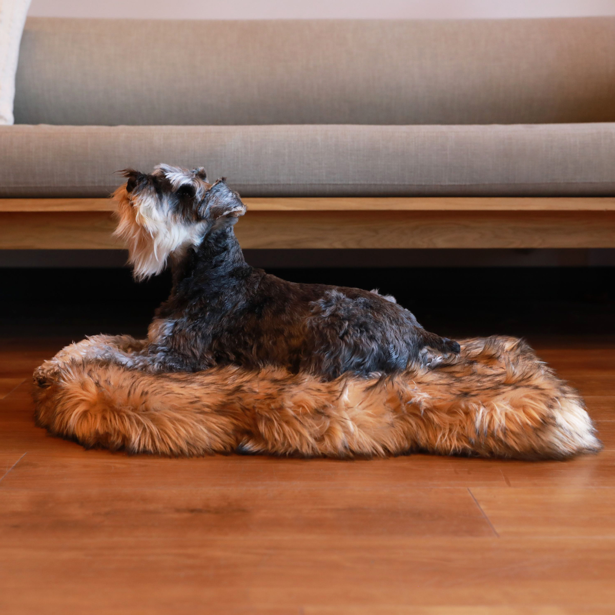 PupRug by Paw.com® Faux Fur Orthopedic Dog Bed - Curve Sable Tan