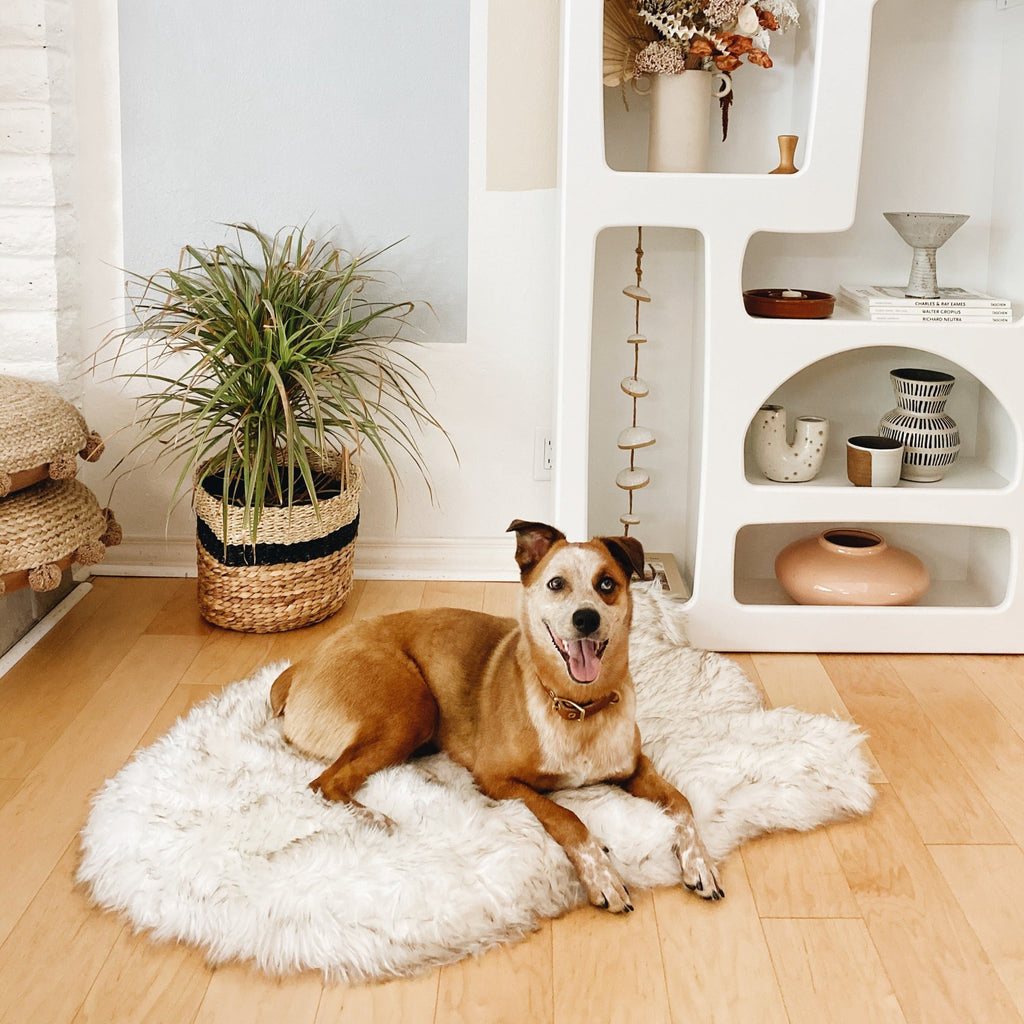 PupRug by Paw.com® Faux Fur Orthopedic Dog Bed - Curve White with Brown Accents