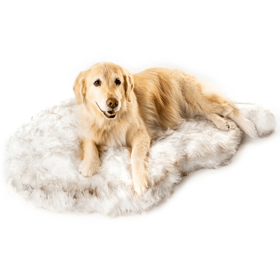 PupRug by Paw.com® Faux Fur Orthopedic Dog Bed - Curve White with Brown Accents