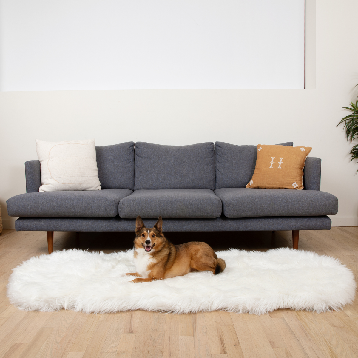 PupRug® Runner Faux Fur Memory Foam Dog Bed - Curve Polar White