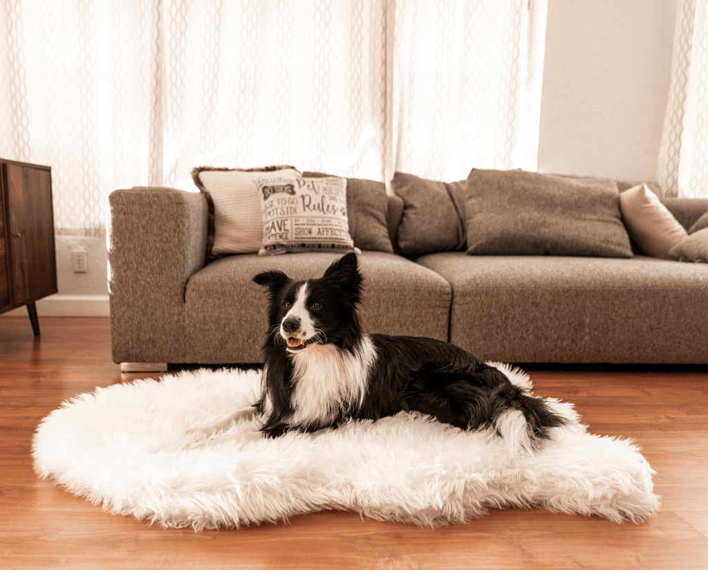 PupRug by Paw.com® Faux Fur Orthopedic Dog Bed - Curve Polar White