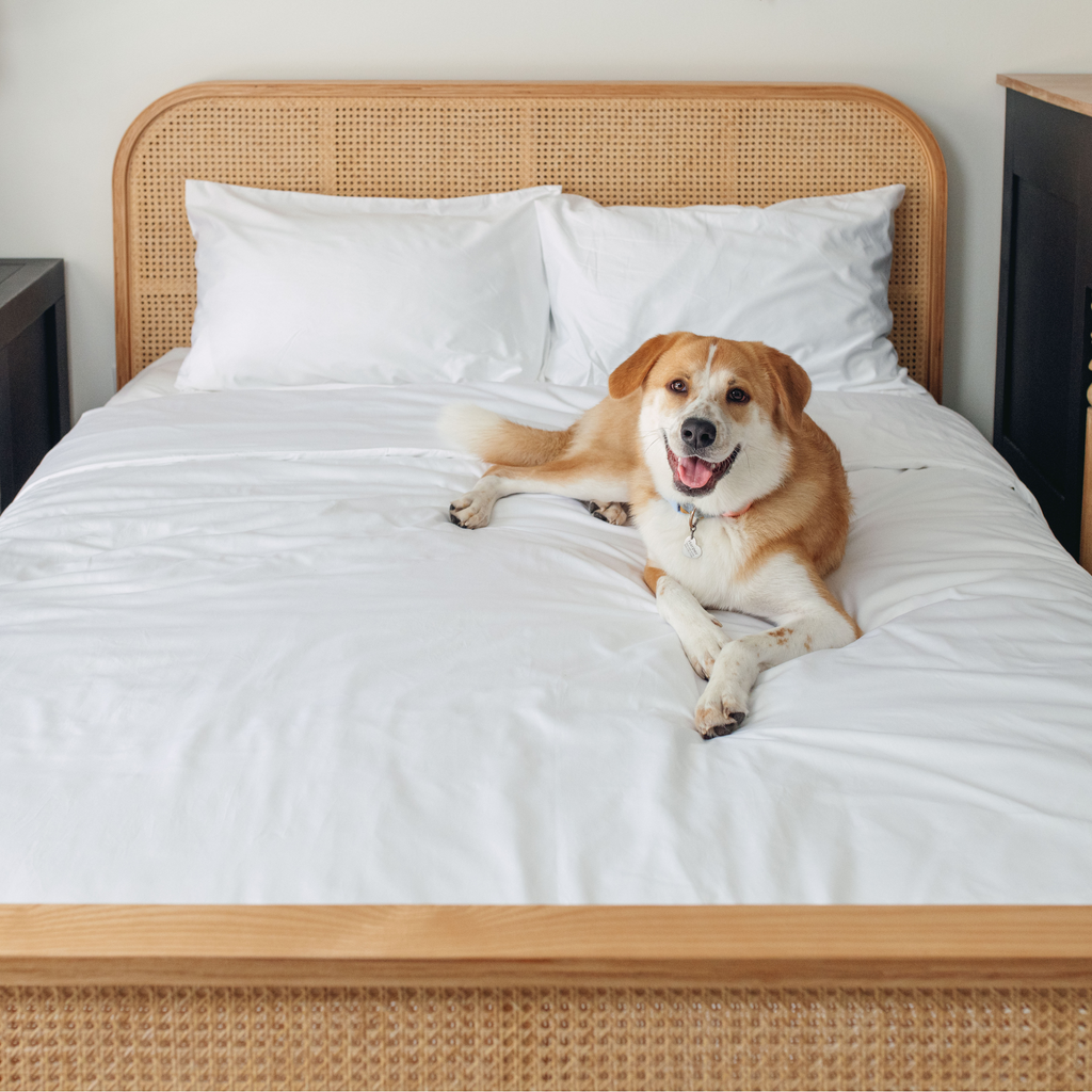 PupSheets™ Hair Resistant, Antimicrobial & Cooling Duvet Cover and Sham Set - White