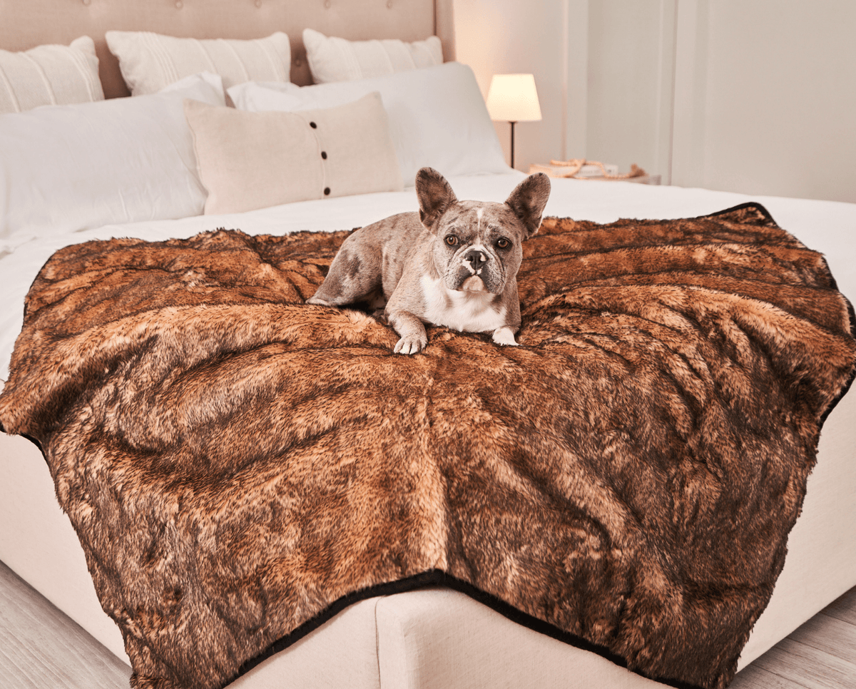 PupProtector™ Summer Short Fur Waterproof Throw Blanket - Sable Tan